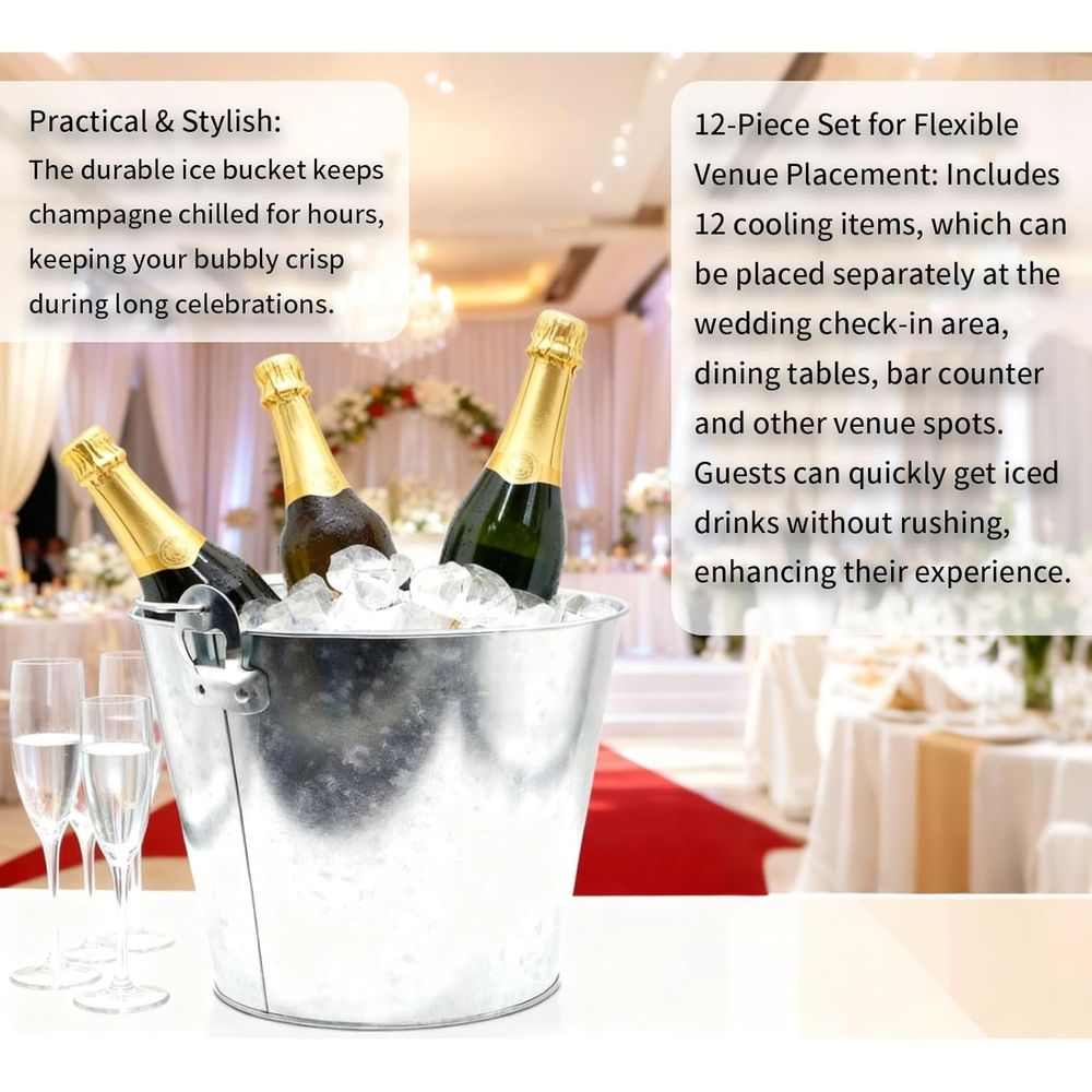 5L Silver Galvanized Metal Buc - Ice Bucket Silver บทวิจารณ์และราคา