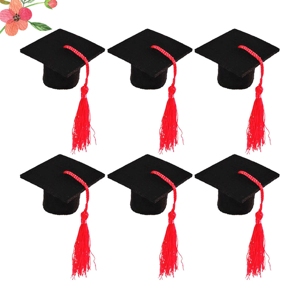 6Pcs Mini Doctoral Party Wine  - Wine Beer Festival บทวิจารณ์และราคา